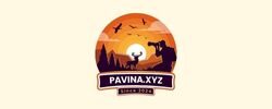 pavina.xyz