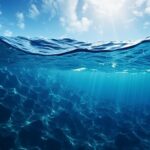 6 Improvements Reworking How We Examine the Oceans